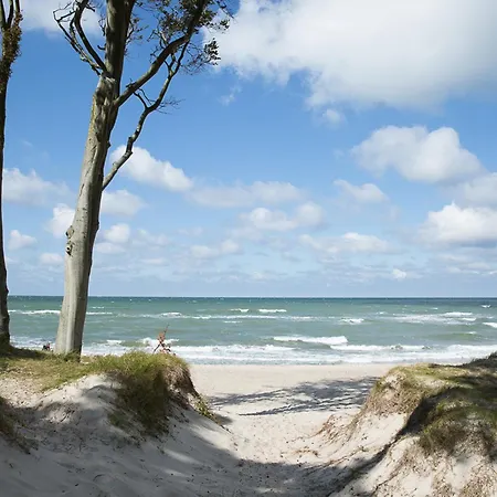 Seeschwalbe 37 * Fuhlendorf (Mecklenburg-Vorpommern)