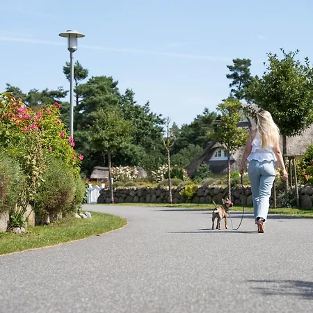 Seeschwalbe 37 * Fuhlendorf (Mecklenburg-Vorpommern)